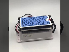 Hersteller CE-Zertifizierung neuer Ozongenerator 10g Doppelkeramikplatte