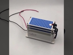 AC 220V 15g/h Keramik-Ozonplatte für die Ozondesinfektionsmaschine